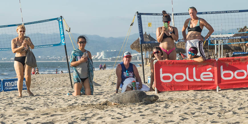 SOB Volleyball Gallery: 2025-12